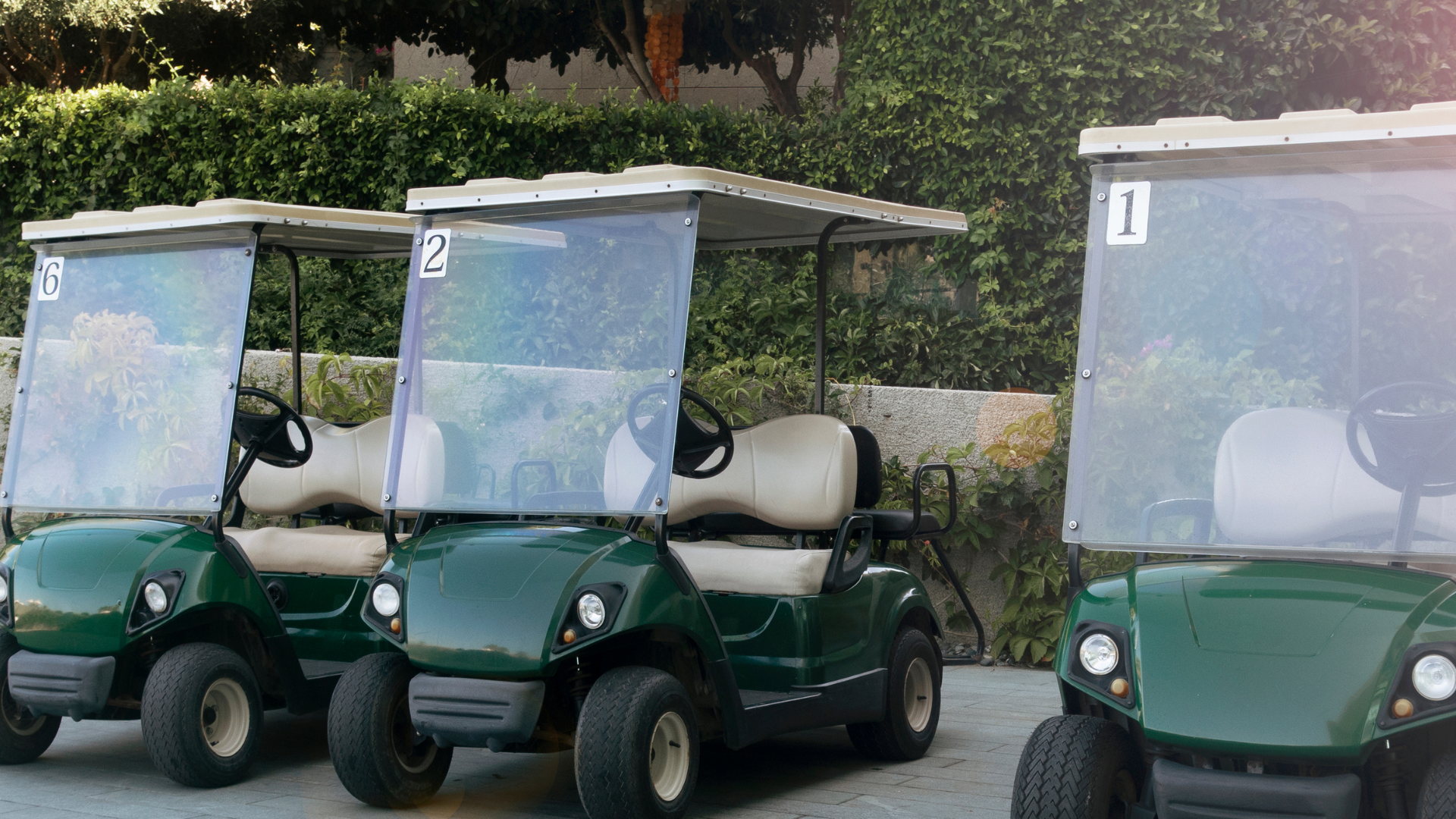 Featured image for “Keep Your Cart Running Longer with Our Expert Service Plans”