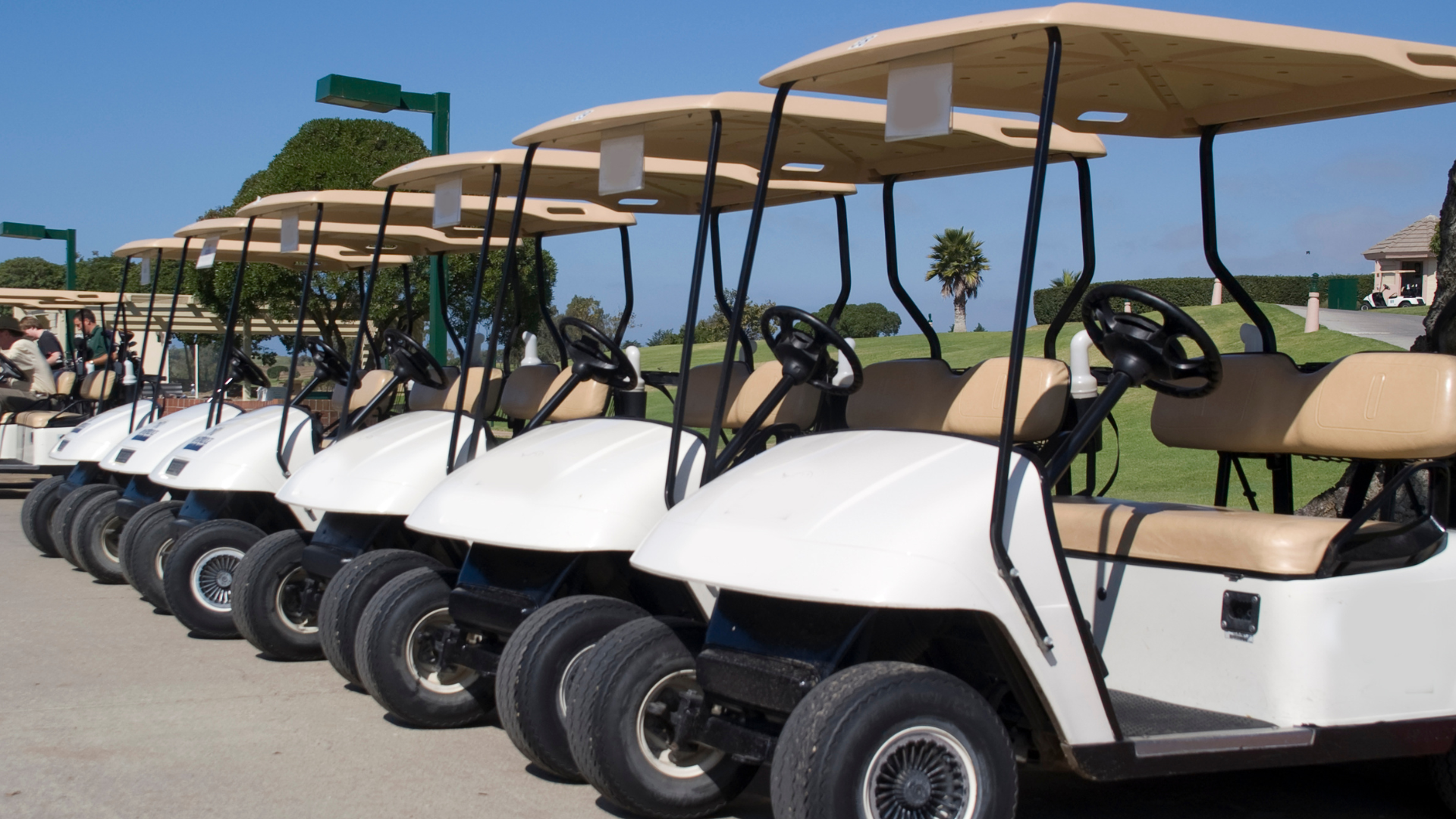 Featured image for “Reliable Fleet Solutions for Business and Personal Use”